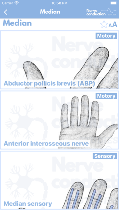 صور Nerve Conduction Studies