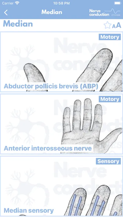 Nerve Conduction Studies سکرین شاٹس
