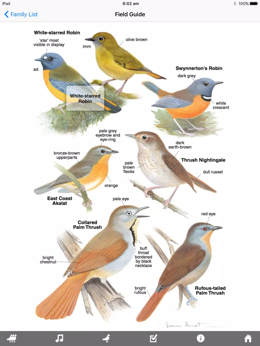 Скриншоты Roberts VII Multimedia Birds of Southern Africa HD iPad 