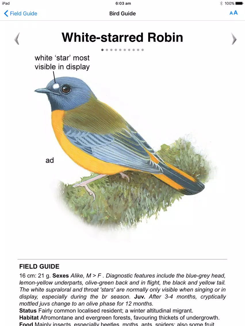 Скриншоты Roberts VII Multimedia Birds of Southern Africa HD iPad 