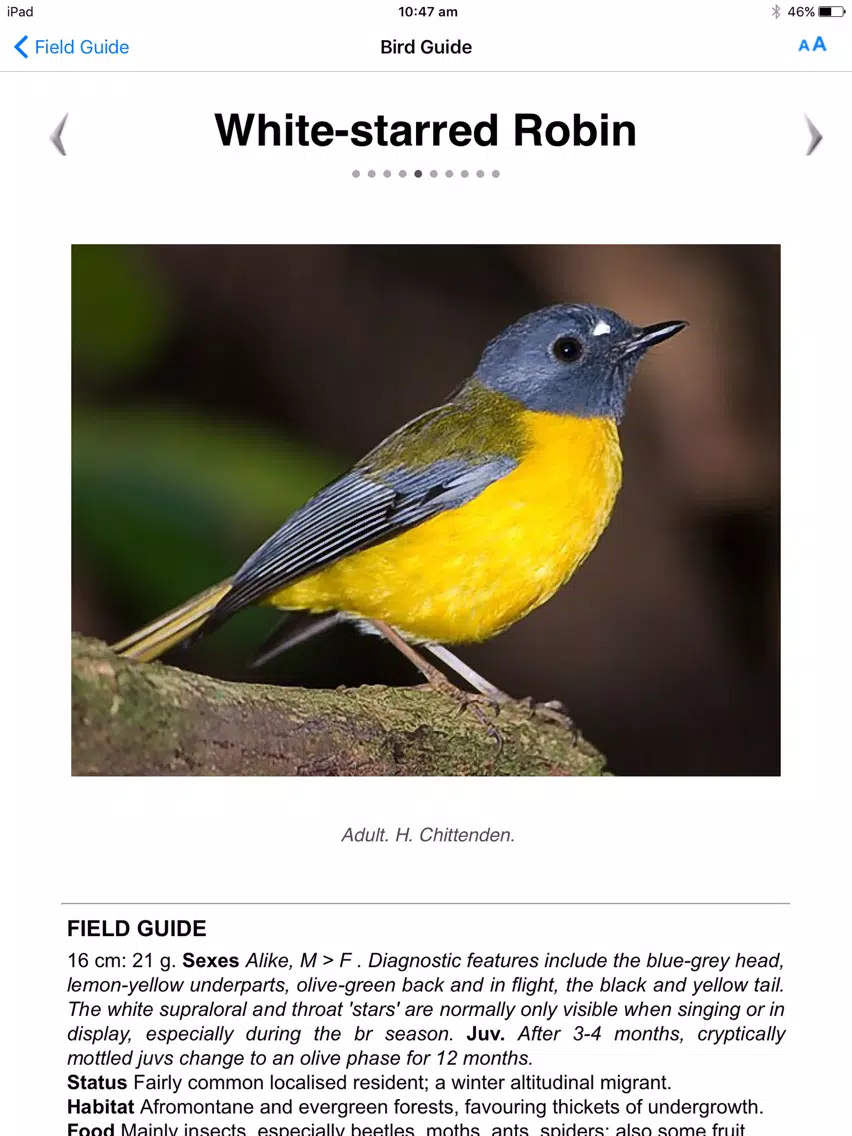 Скриншоты Roberts VII Multimedia Birds of Southern Africa HD iPad 