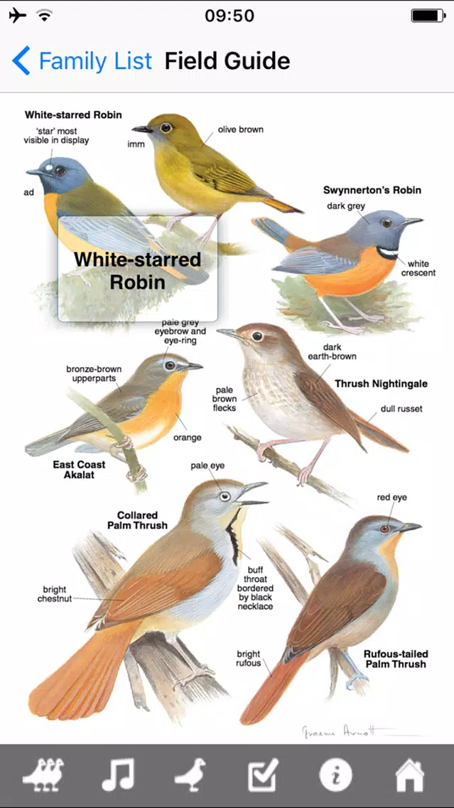 Скриншоты Roberts VII Multimedia Birds of Southern Africa HD