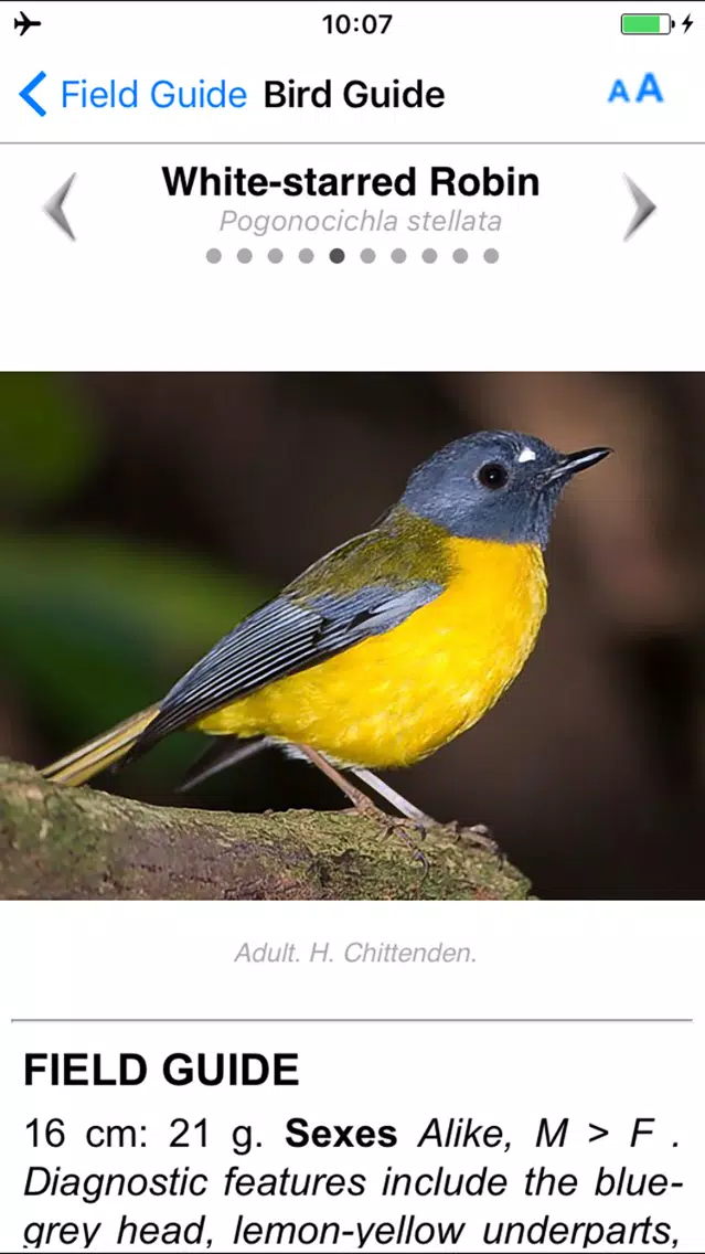 Скриншоты Roberts VII Multimedia Birds of Southern Africa HD