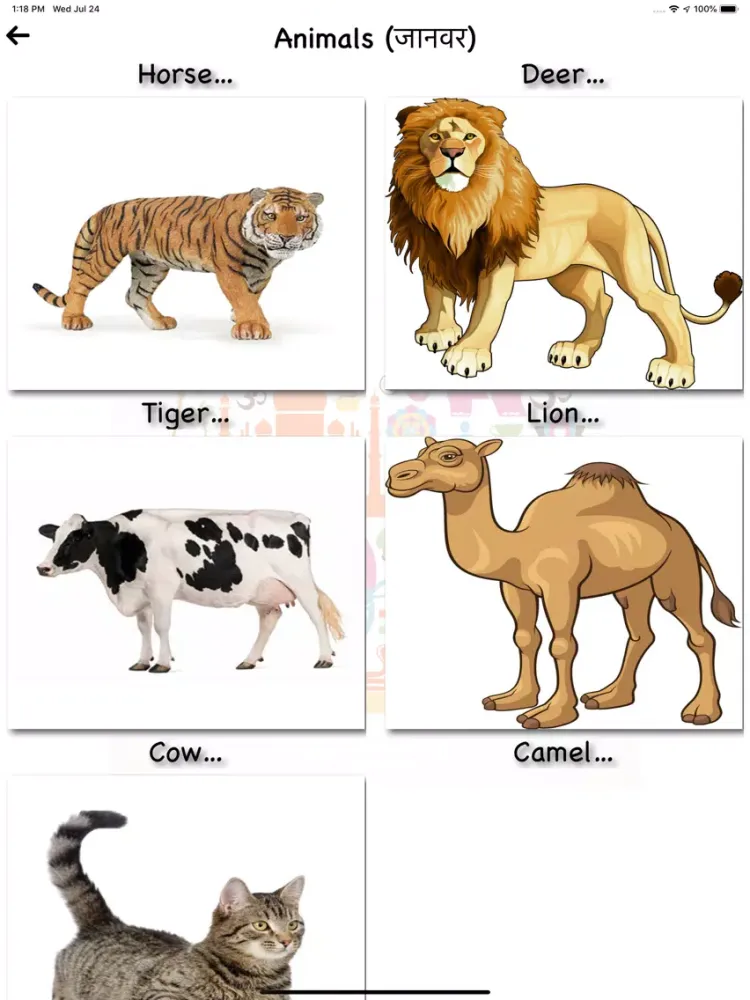 تصاویر Kids Hindi Learning iPad 