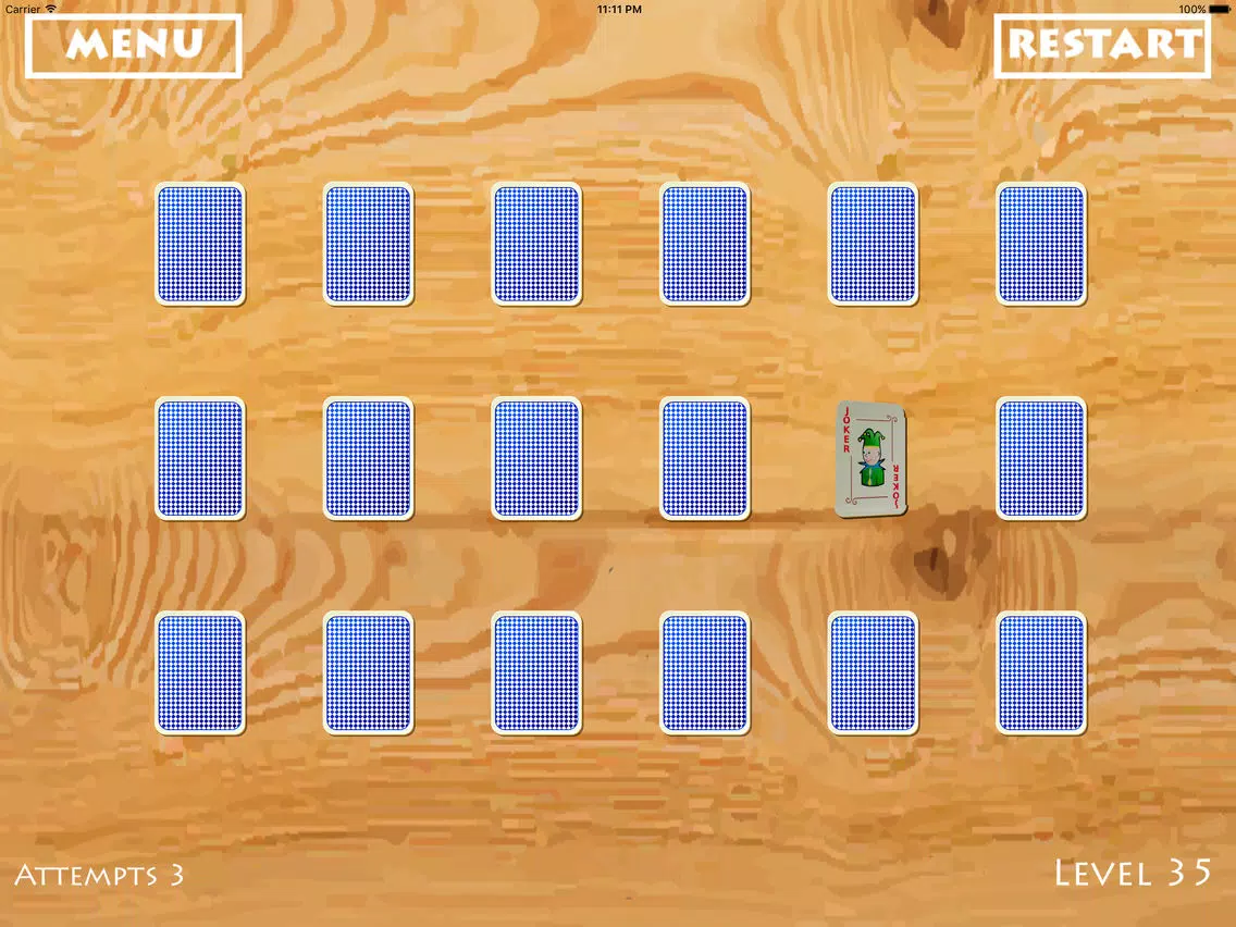 Free Puzzle : Ikka the ACE iPad 應用截圖