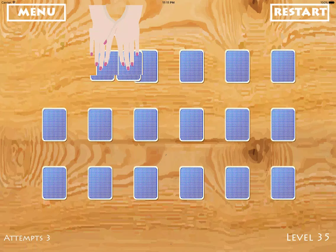 Free Puzzle : Ikka the ACE iPad 應用截圖
