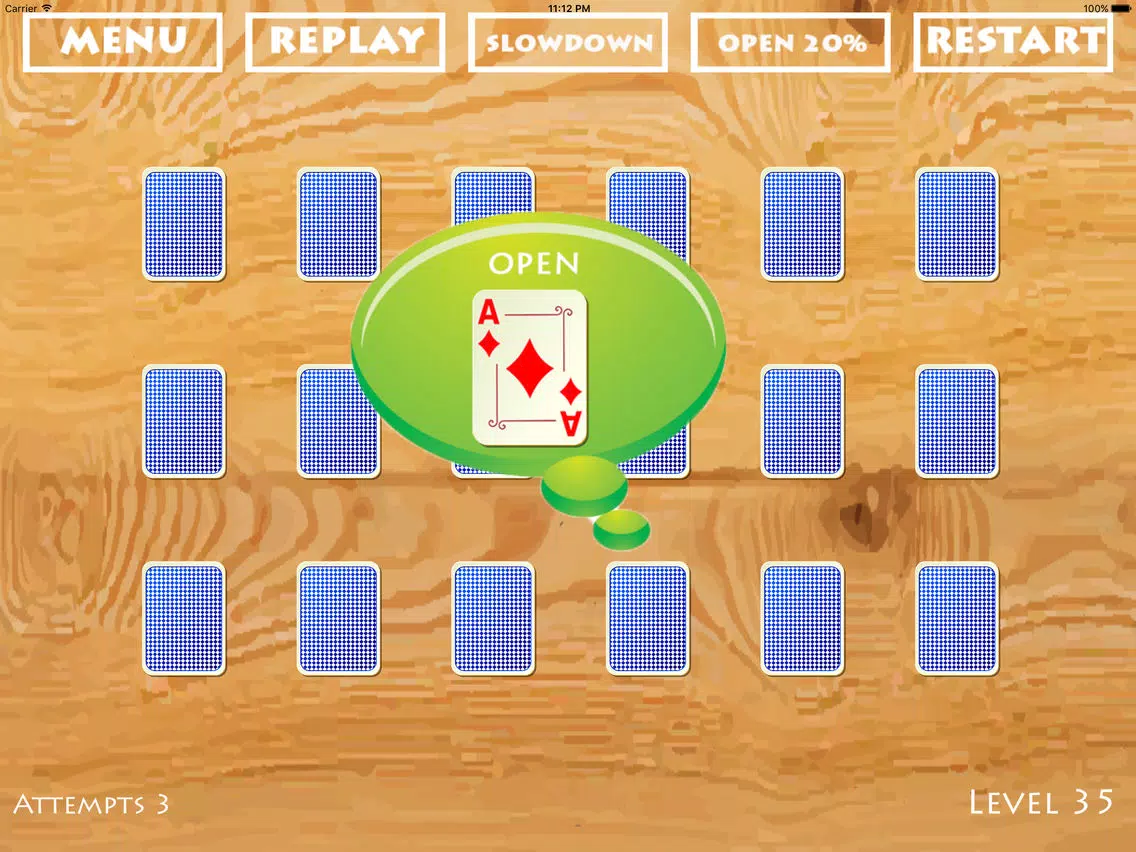 Free Puzzle : Ikka the ACE iPad 應用截圖