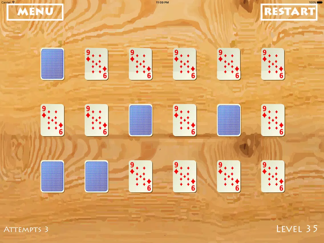 Free Puzzle : Ikka the ACE iPad 應用截圖