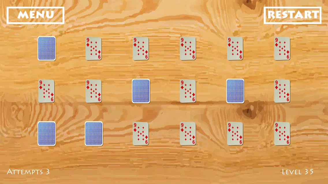Free Puzzle : Ikka the ACE應用截圖
