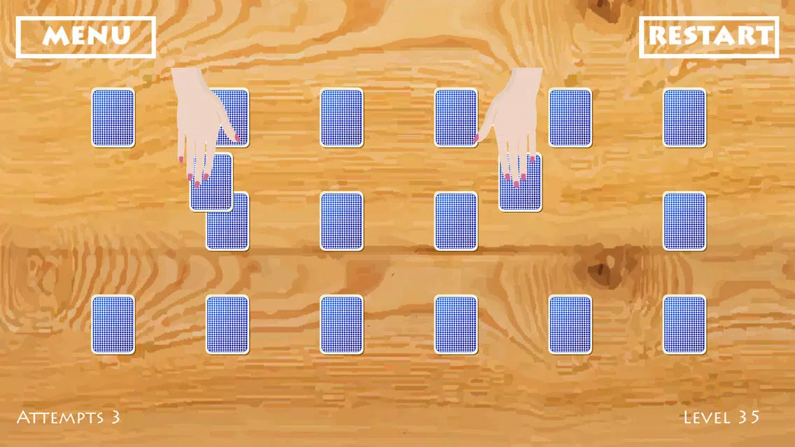 Free Puzzle : Ikka the ACE應用截圖