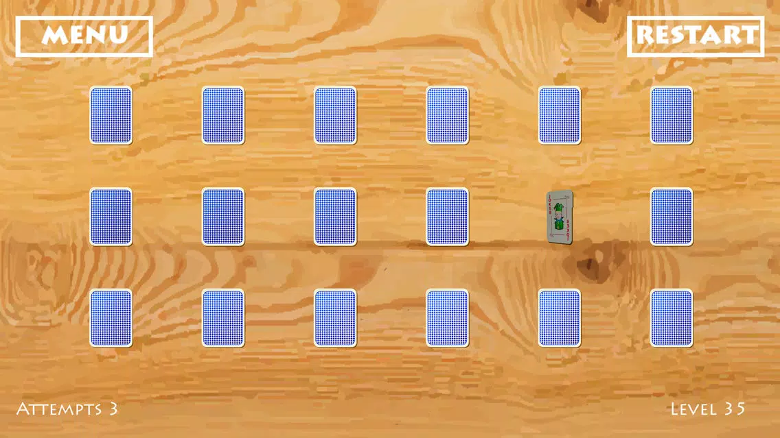 Free Puzzle : Ikka the ACE應用截圖
