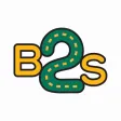 B2S Driver