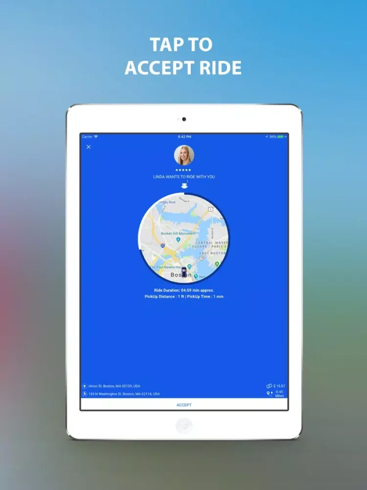 Tangkapan layar Drive Hub iPad 