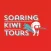 Soaring Kiwi