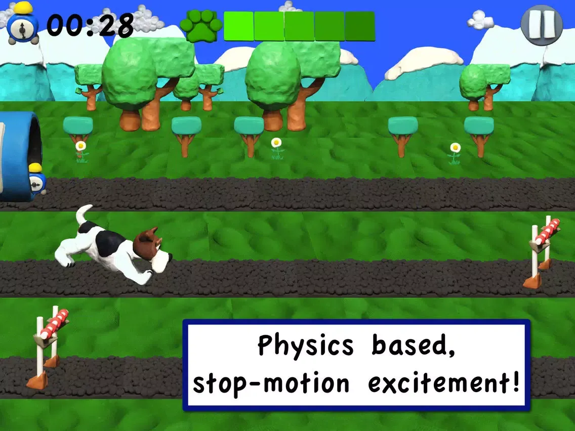 Agility Dogs Lite iPad  سکرین شاٹس