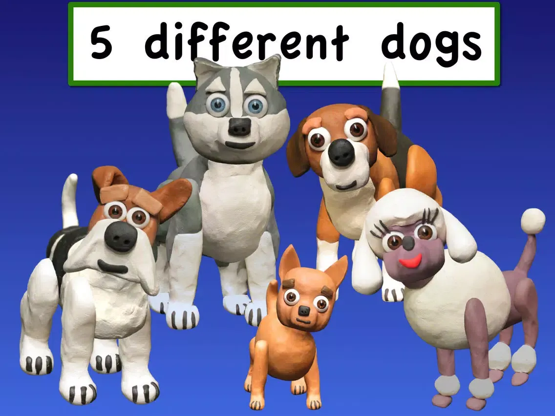 Agility Dogs Lite iPad  سکرین شاٹس
