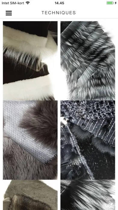 Ảnh chụp màn hình của Saga Furs Fashion