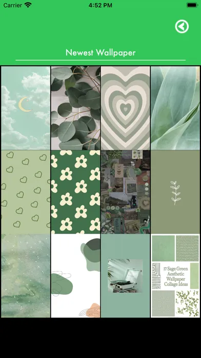 Sage Green Aesthetic Wallpaper स्क्रीनशॉट