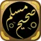 شرح صحيح مسلم