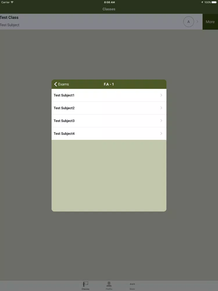 Sahitya E M School iPad 应用截图