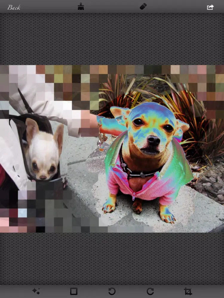 Pixify-Multifilter Photo Editor iPad Ekran Görüntüleri