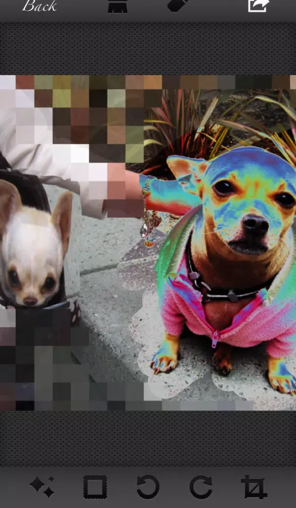 Pixify-Multifilter Photo Editor Ekran Görüntüleri