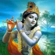 The Krishna The Krishna