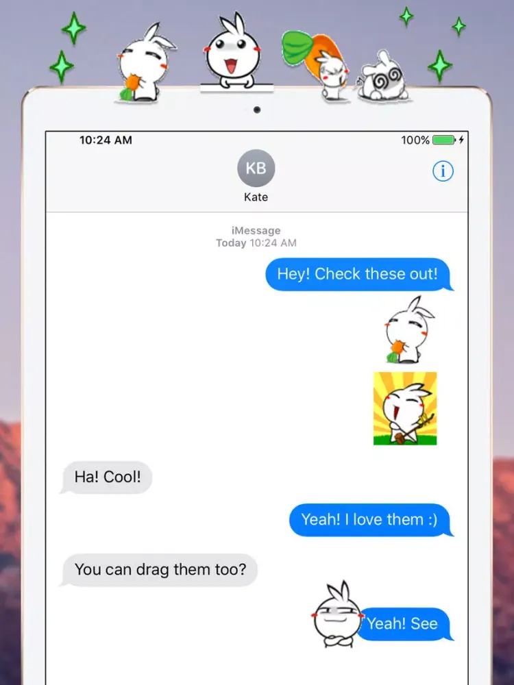 صور Little Sister Rabbit iPad