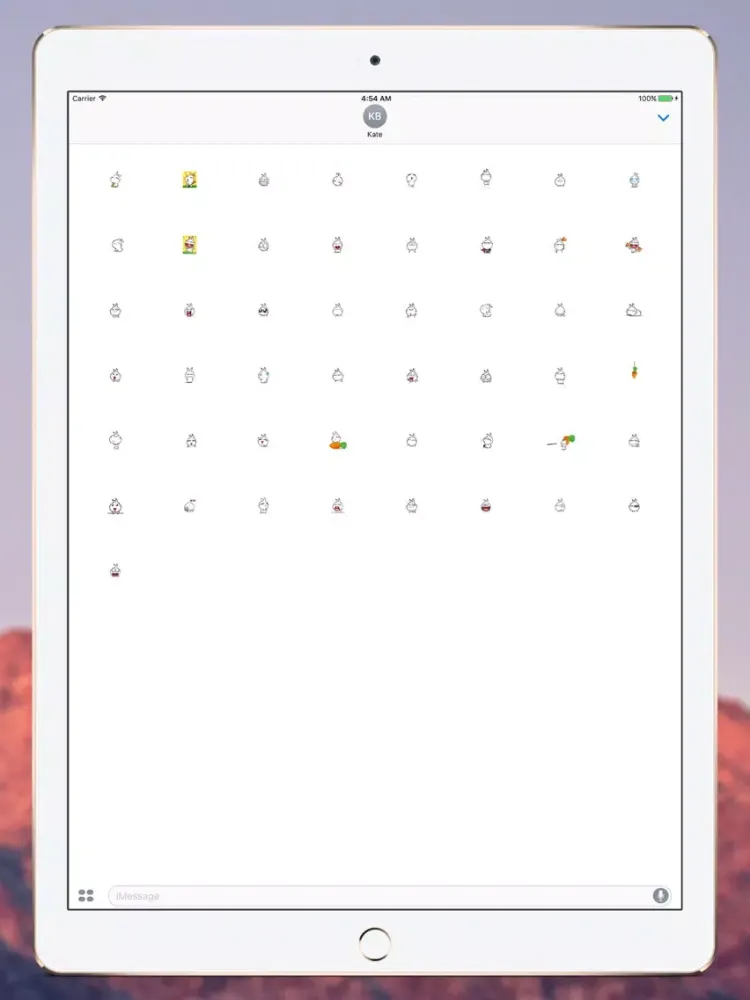 صور Little Sister Rabbit iPad