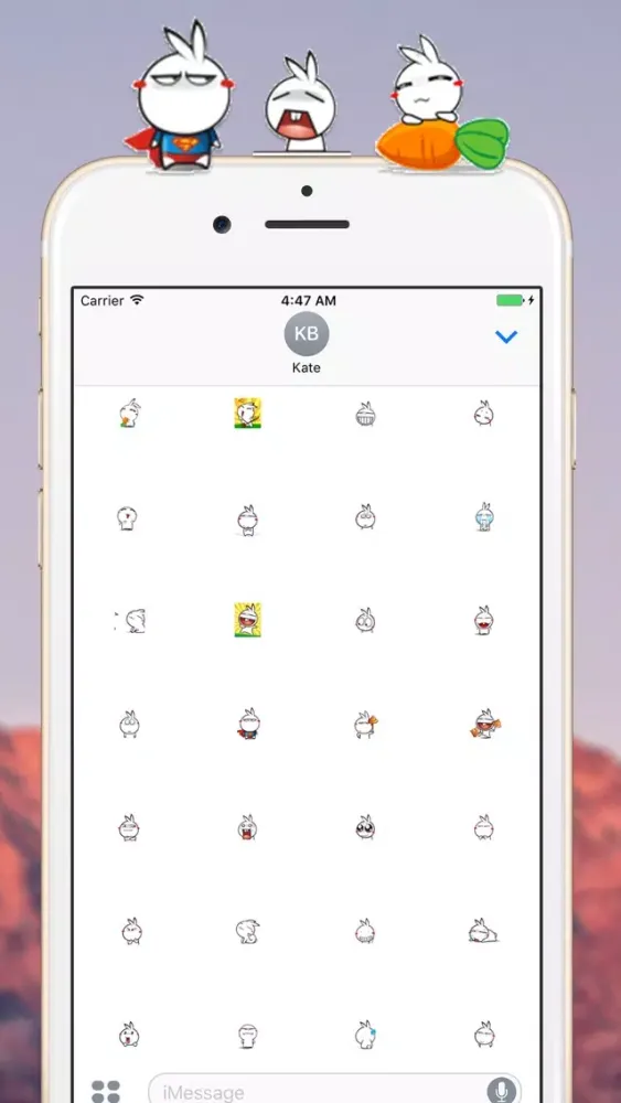 صور Little Sister Rabbit