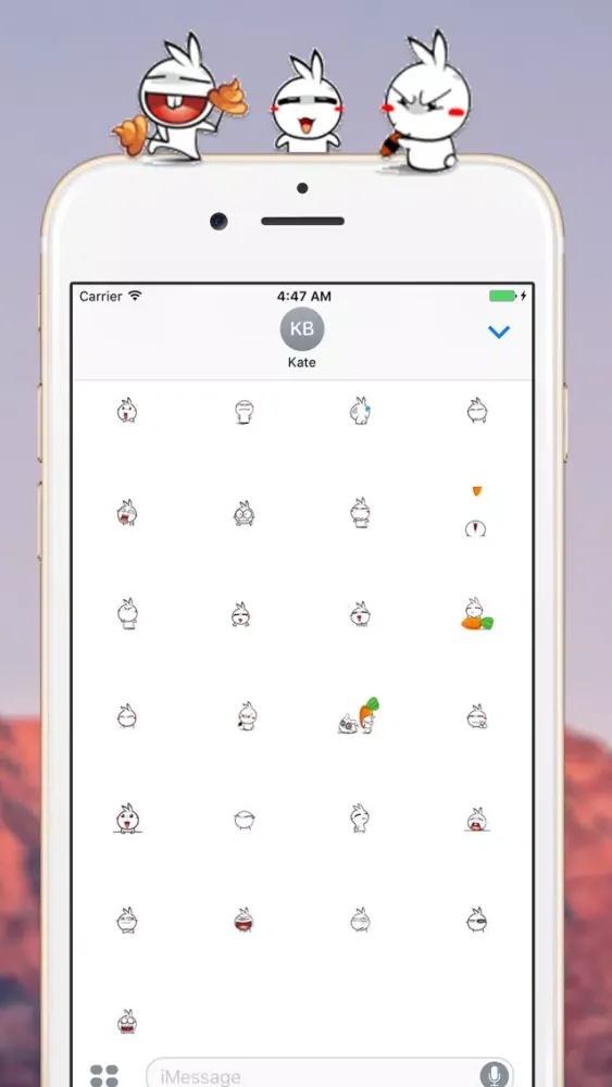 صور Little Sister Rabbit