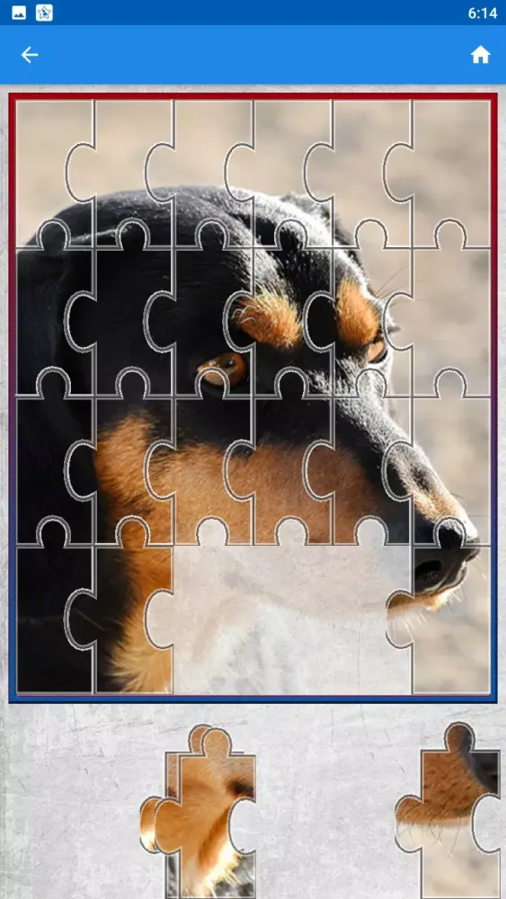 Dog Jigsaw Puzzle Game Ekran Görüntüleri