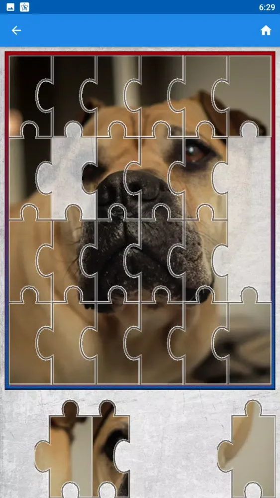 Dog Jigsaw Puzzle Game Ekran Görüntüleri