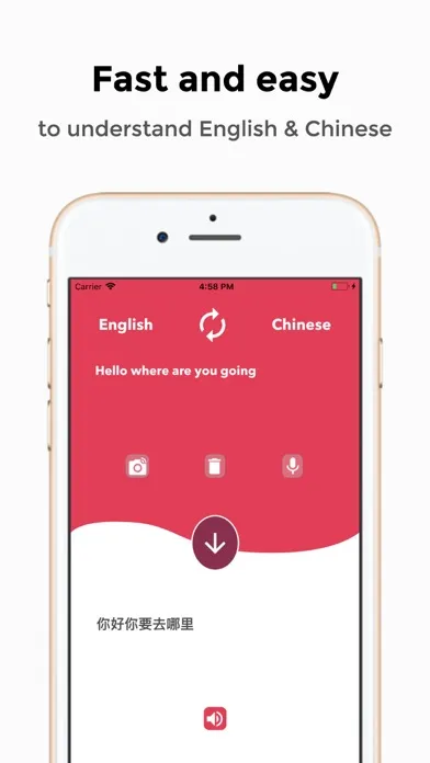 تصاویر Translator English Chinese
