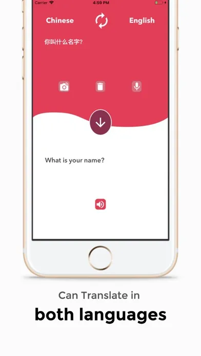 تصاویر Translator English Chinese