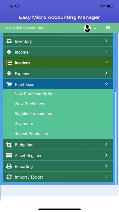 Easy Micro Accounting Manager স্ক্রিনশট