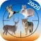 Hunting calls full -