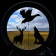 Deer Hunting Calls - Deer Hunting Calls -