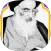 المسائل المنتخبة
