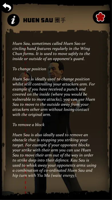 Ip Man Wing Chun Kung Fu : SLT Screenshots