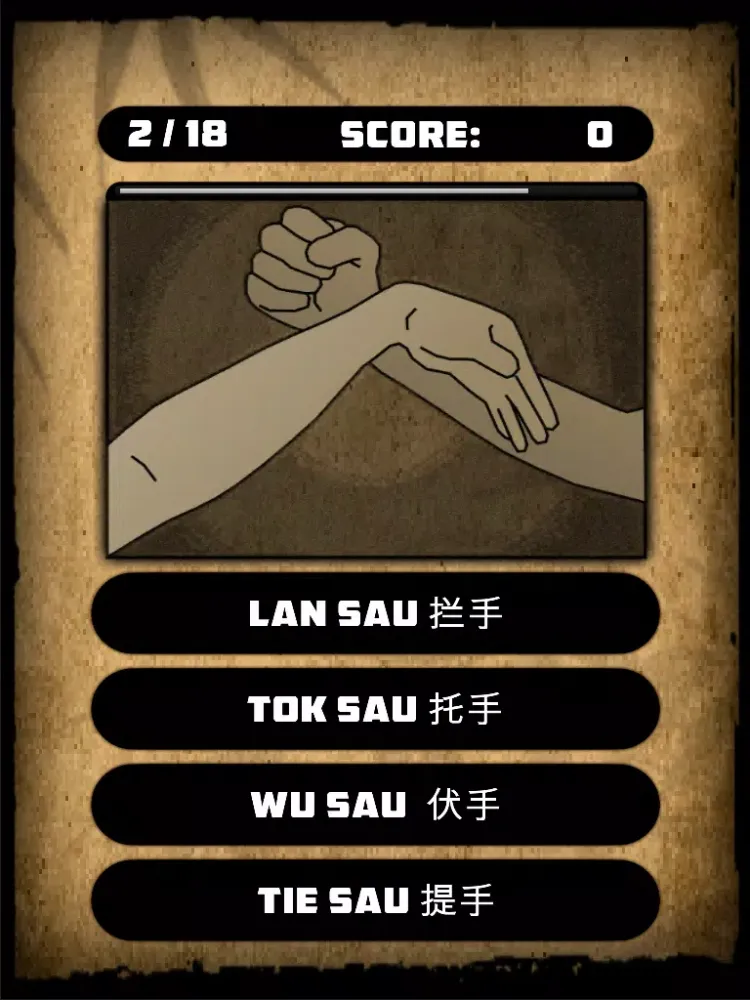 Wing Chun Quiz iPad 應用截圖