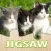 Cat Puzzle Game Animal Jigsaw Puzzles For Adults