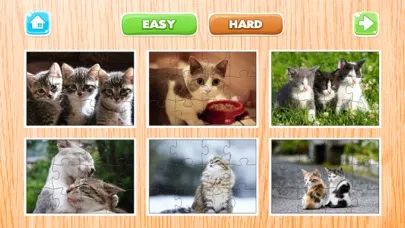 Cat Puzzle Game Animal Jigsaw Puzzles For Adults スクリーンショット