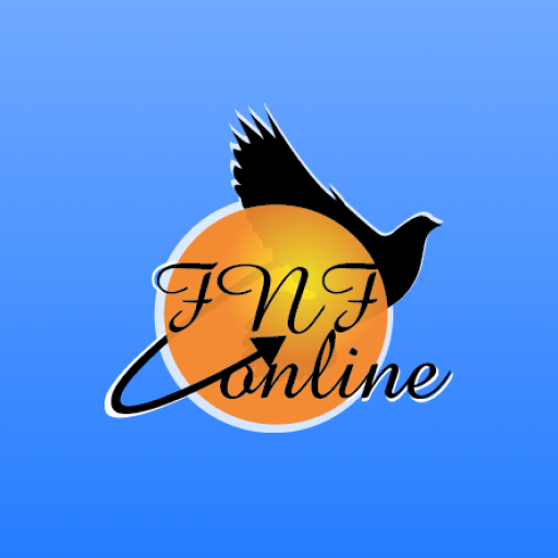 FNF ONLINE