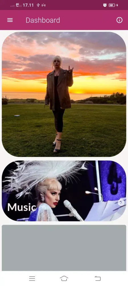 Lady Gaga Songs Offline Screenshots