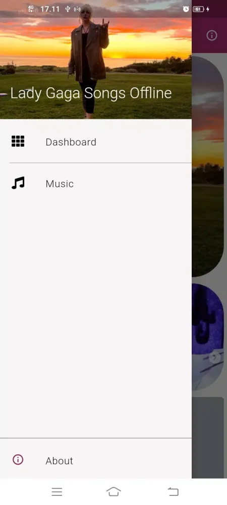 Lady Gaga Songs Offline Screenshots