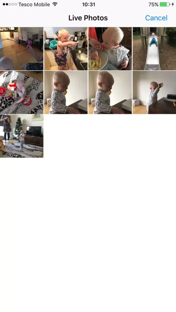 Live looping应用截图