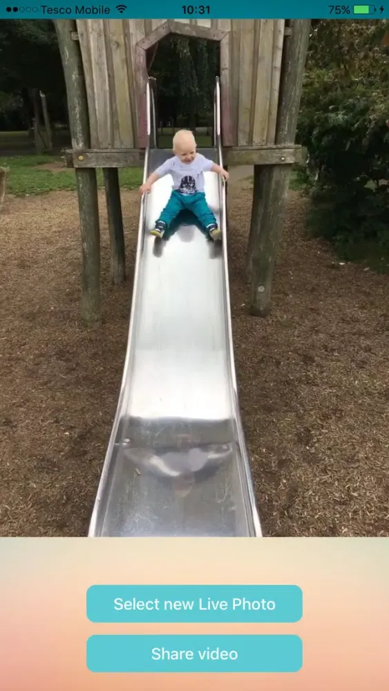 Live looping应用截图