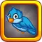Brave Blue Bird