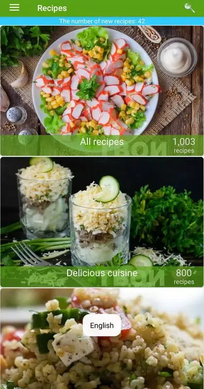 Salad recipes Screenshots